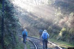 Railroad Hike to Horton Plains Borders (Private + Guided)