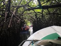 Madu Ganga Boat Safari