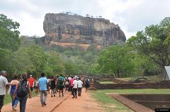 Sigiriya Lion Rock and Dambulla Cave Temple from Colombo