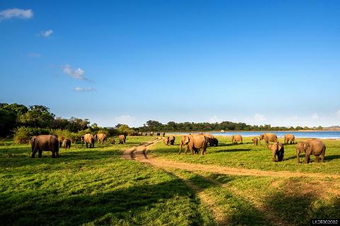 Unforgettable Sri Lanka