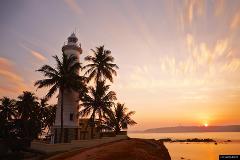 Galle City, Madu River and Turtle Hatchery Tour from Colombo