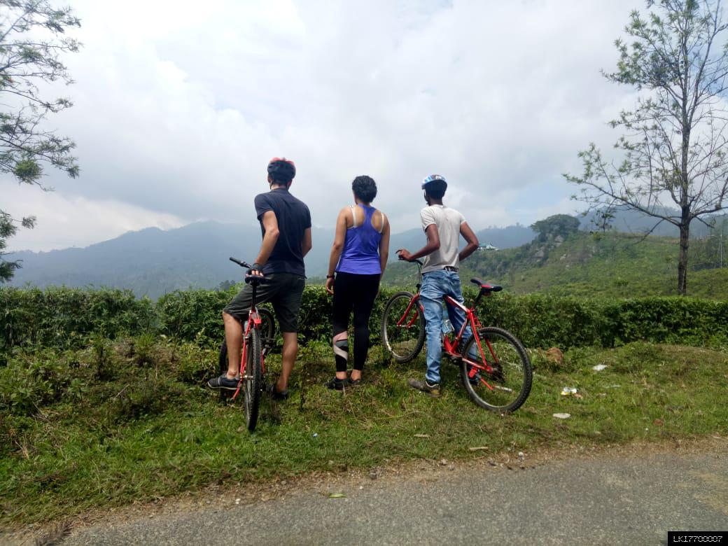 Ella Cycling Tour - Adventure on Two Wheels (Smoothy: 15 km)