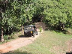 Kaudulla National Park Private Safari (3 Hours)