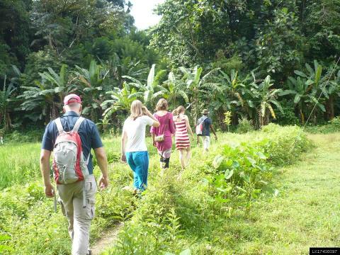 Light Trekking in Kandy Countryside