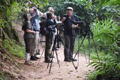 Bird watching and trekking in Kitulgala (Private + Guided)