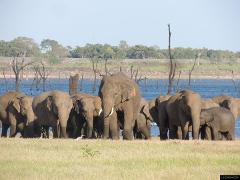 Kaudulla National Park Safari From Sigiriya