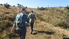 Hike to Kirigalpoththa Mountain via Horton Plains (Private + Guided)