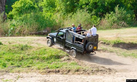 Minneriya National Park Private Safari (3 Hours)