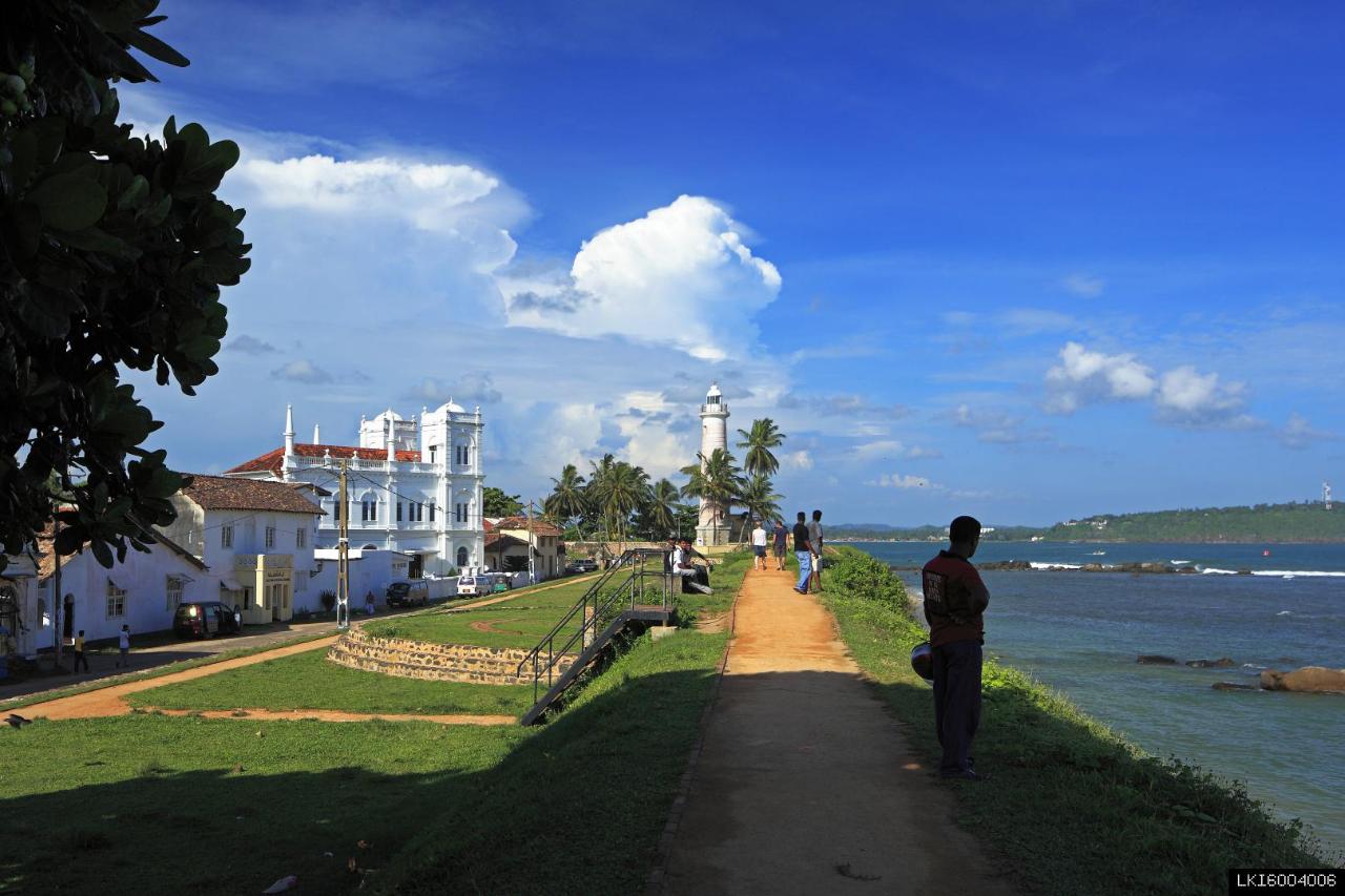 Virgin White Tea and Galle City Tour from Colombo