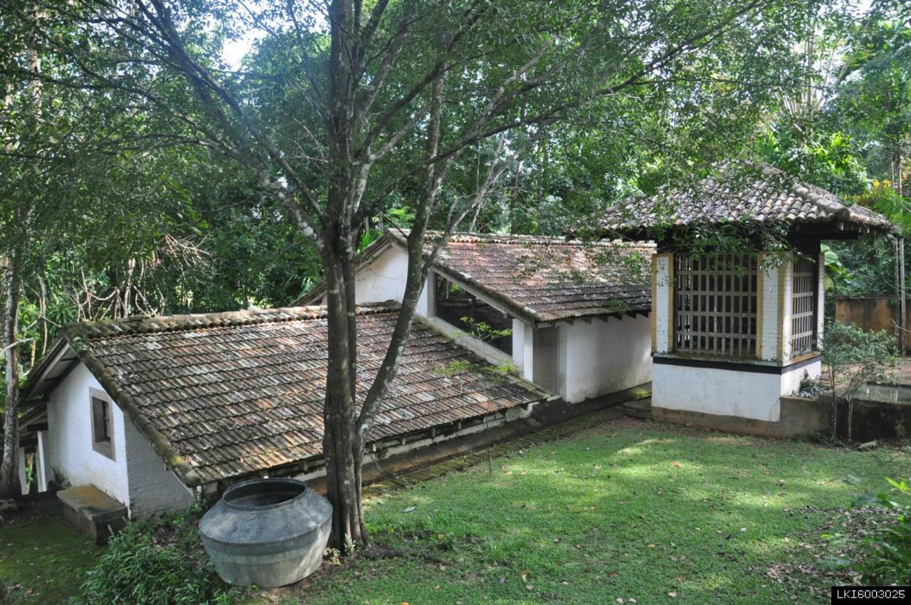 Lunuganga Estate, Turtles and Madu River from Colombo