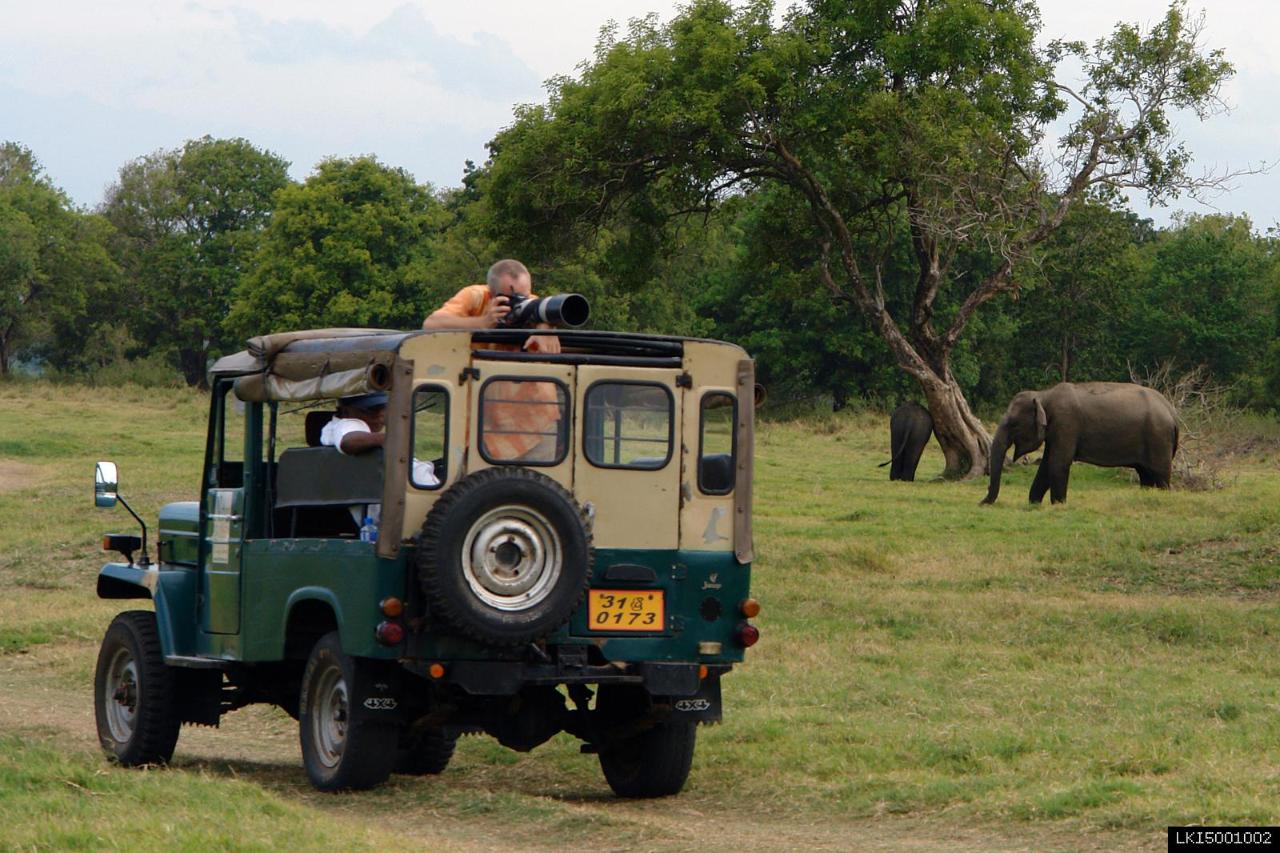 Udawalawe National Park Safari From Colombo