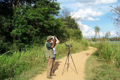 Guided Birdwatching in Habarana