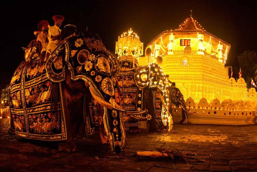 Kandy Esala Perahera (14th August 2019)