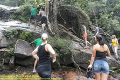 Kitulgala Rainforest Trek