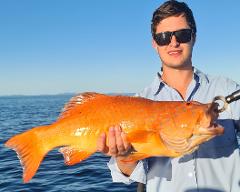 3/4 Day Private Fishing Charter Airlie Beach Whitsundays Islands