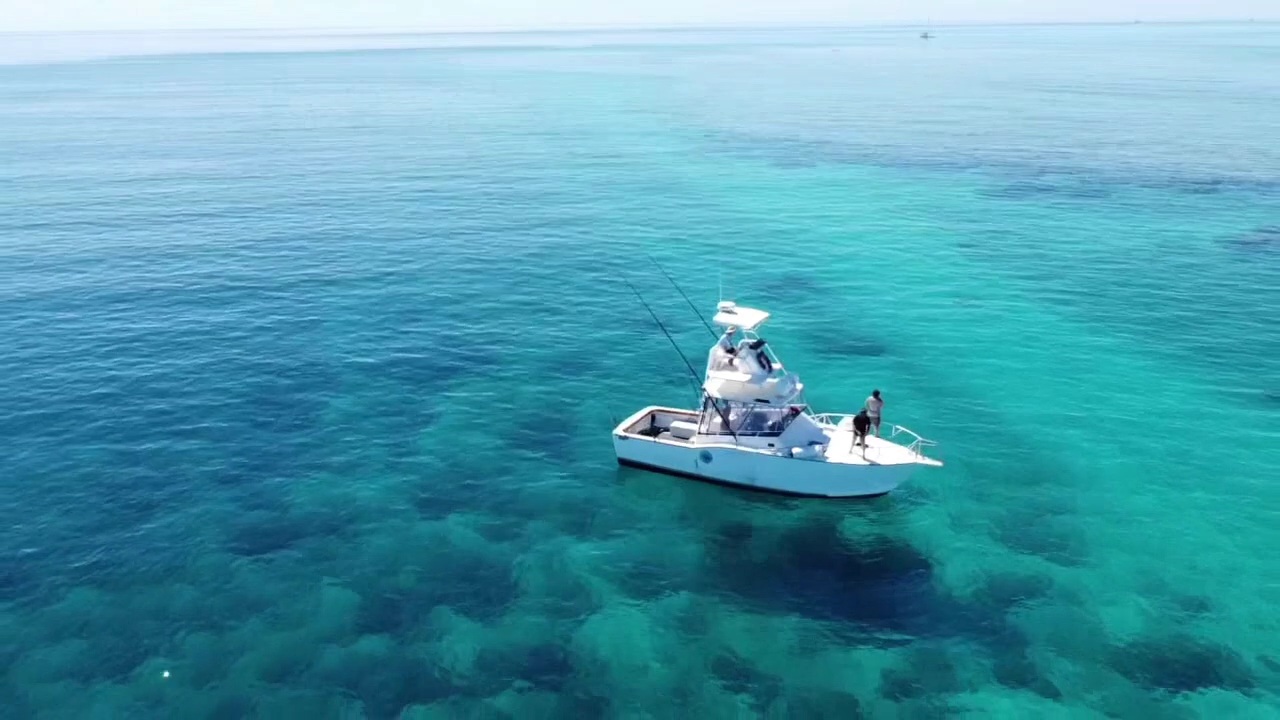 Outer Reef Shared Fishing Charter Airlie Beach Whitsundays