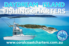 Daydream Island Private Fishing Charter Airlie Beach Whitsundays