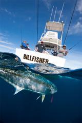 Full Day Private Fishing Charter Airlie Beach Whitsunday Islands & Shoals
