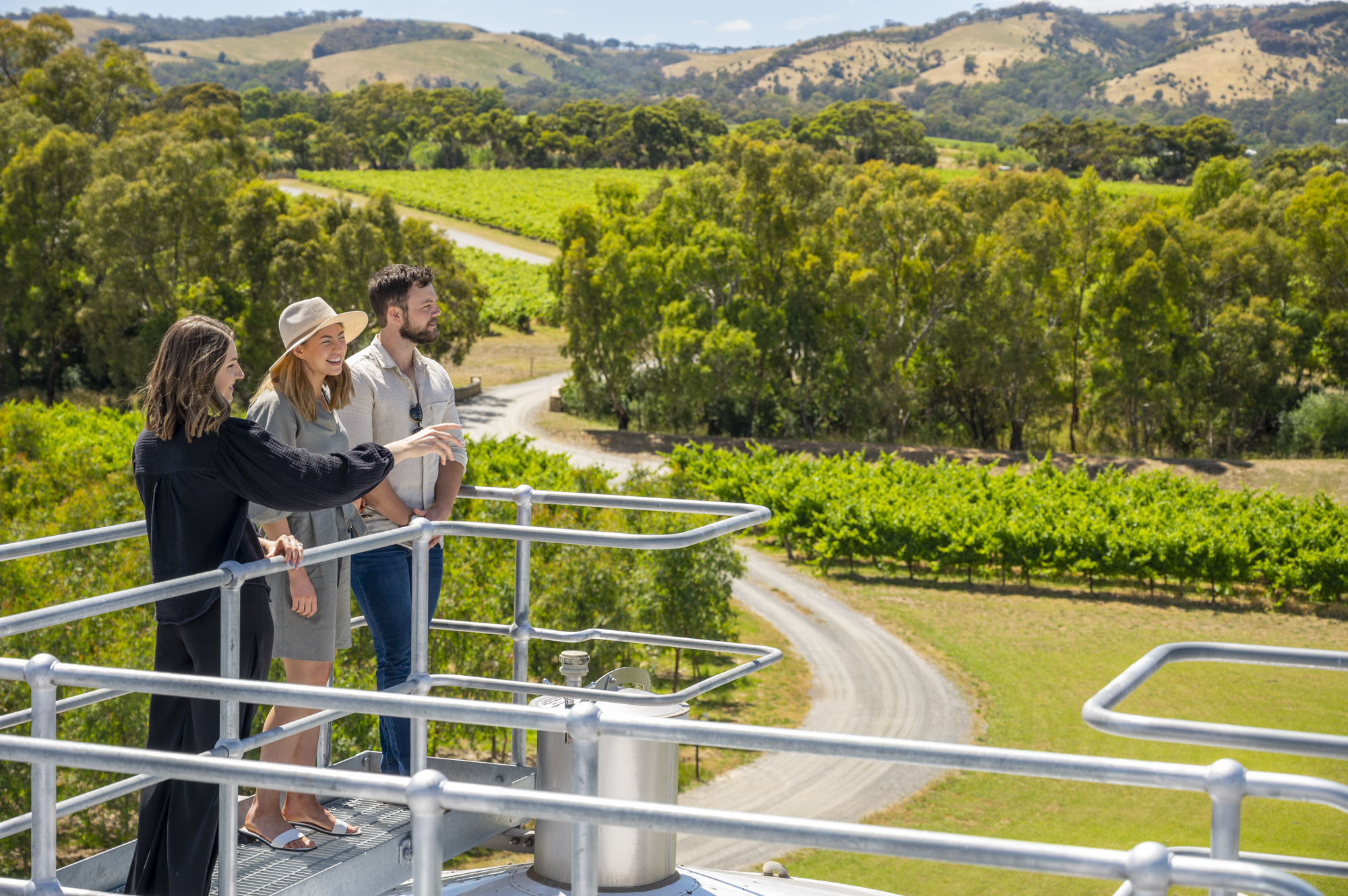 Explore, Wine & Dine in McLaren Vale