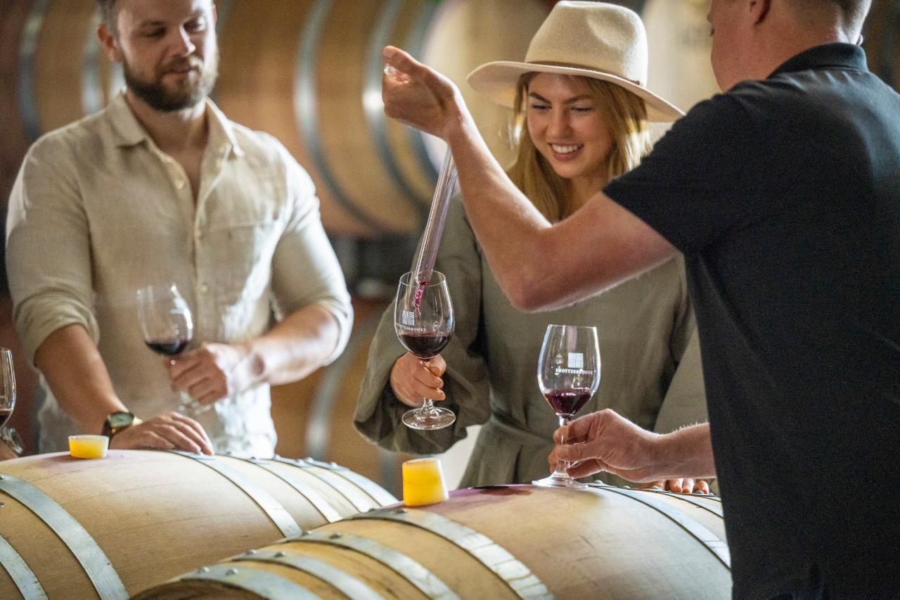 Explore, Wine & Dine in McLaren Vale 