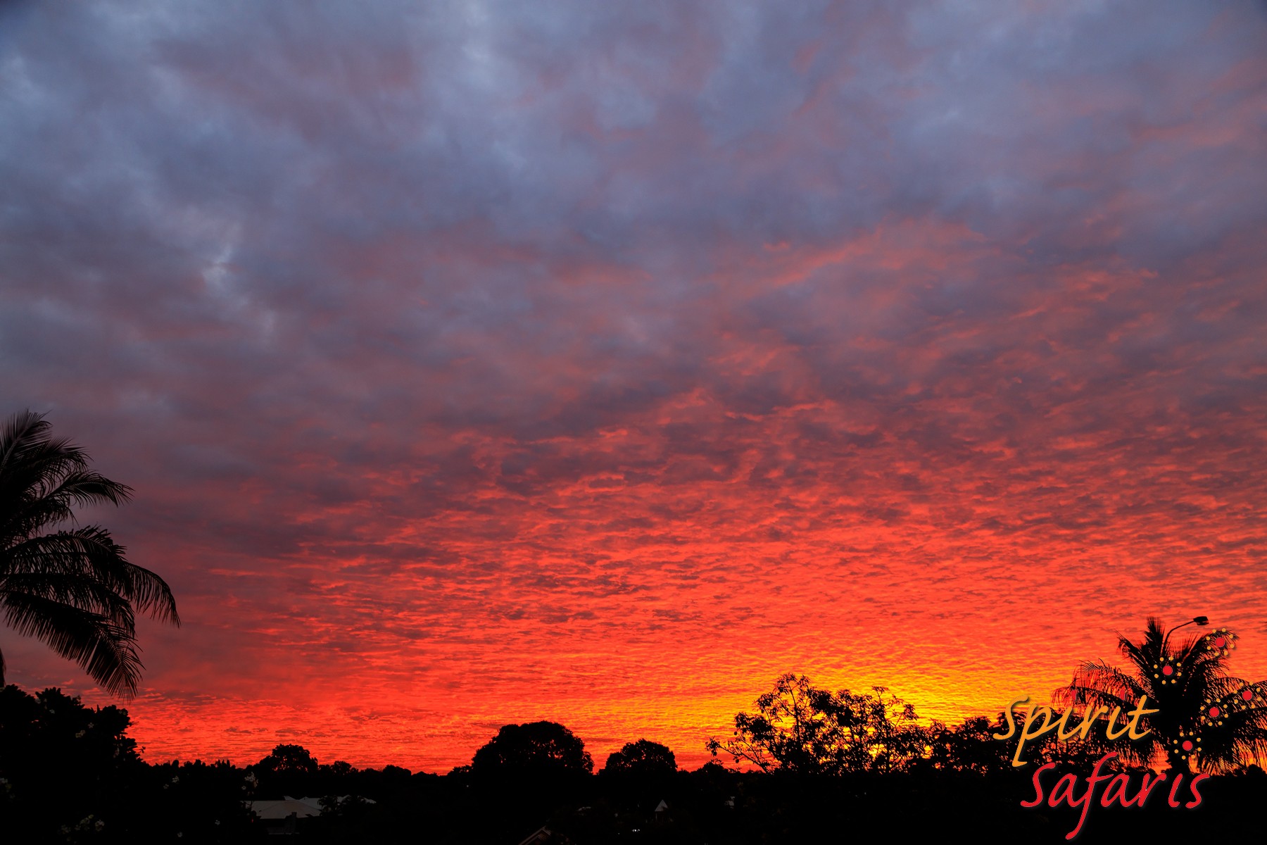 Canning Stock Route Tour from Alice Springs to Alice Springs via Gunbarrel Highway & Tanami Track 18 days