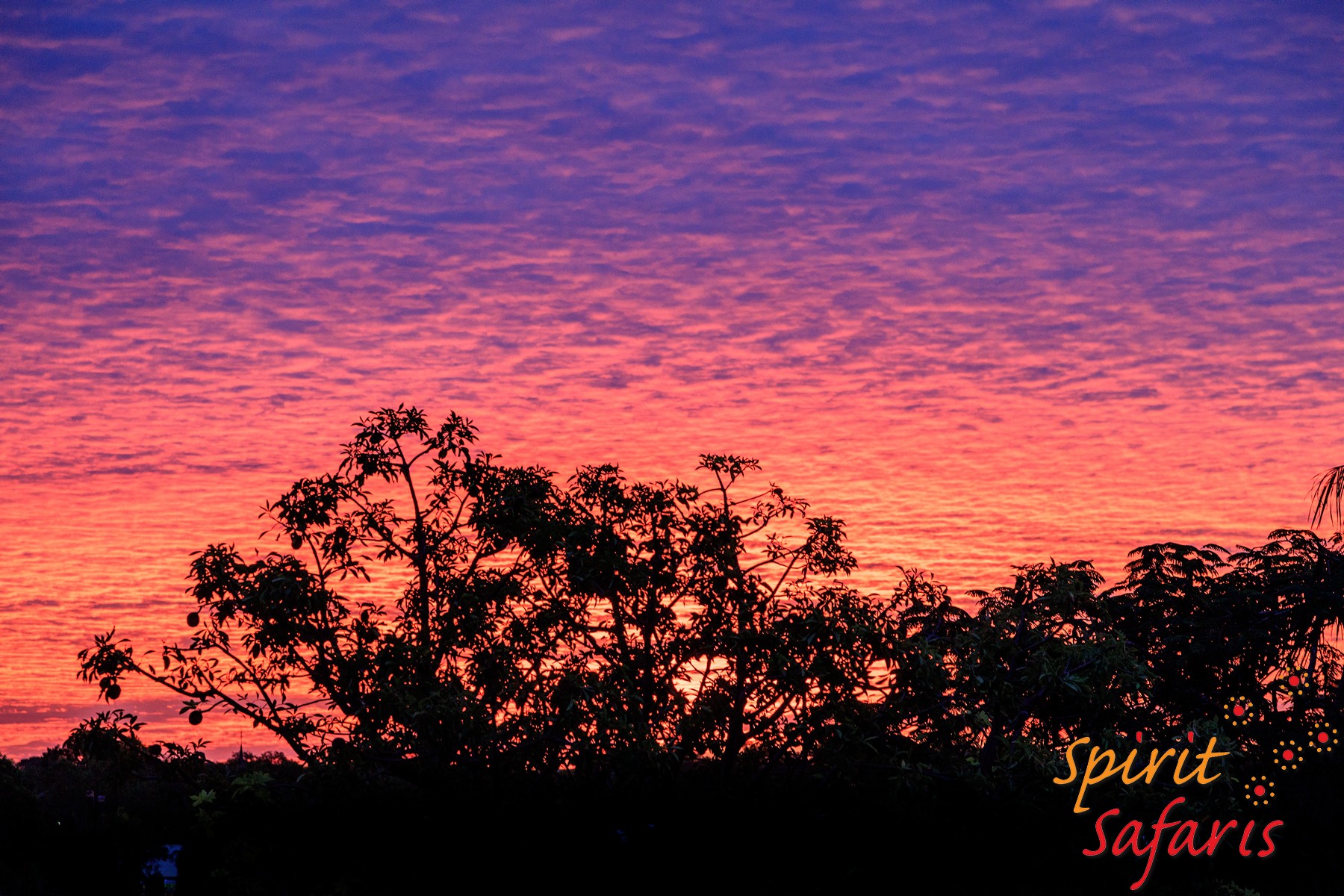Canning Stock Route Tour from Alice Springs to Alice Springs via Gunbarrel Highway & Tanami Track 18 days