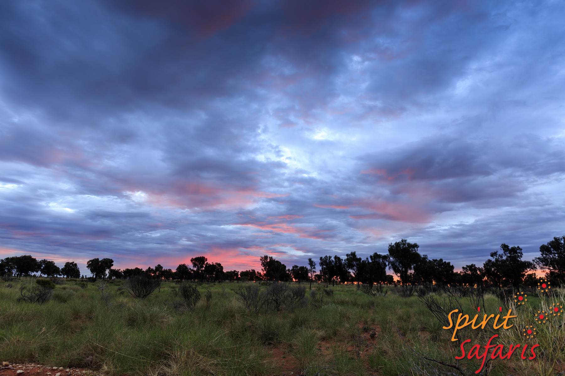 Canning Stock Route Tour from Alice Springs to Alice Springs via Gunbarrel Highway & Tanami Track 18 days