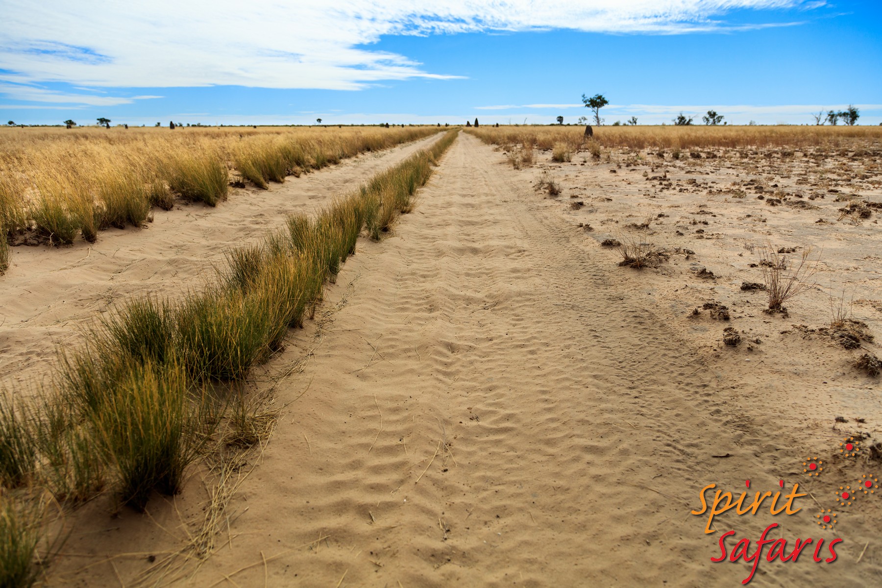 Canning Stock Route Tour from Alice Springs to Alice Springs via Gunbarrel Highway & Tanami Track 18 days