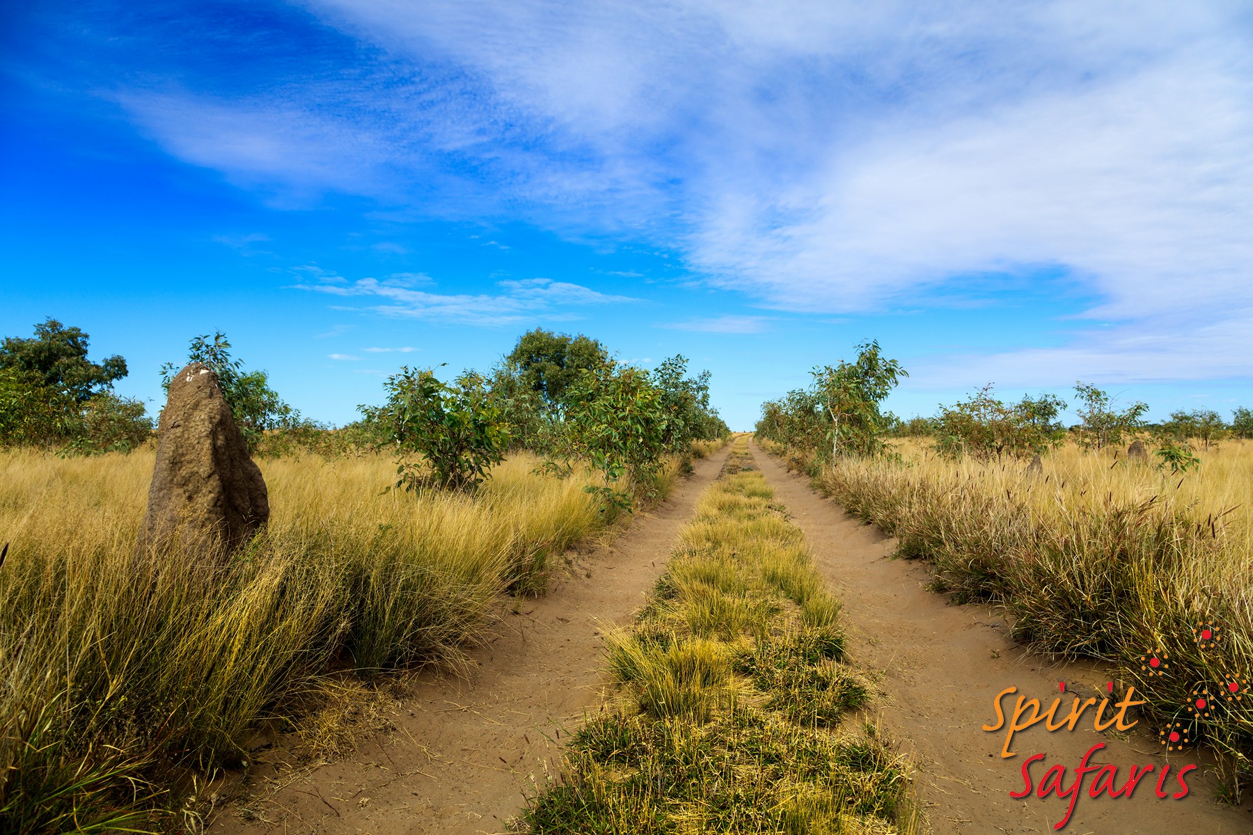 Canning Stock Route Tour from Alice Springs to Alice Springs via Gunbarrel Highway & Tanami Track 18 days