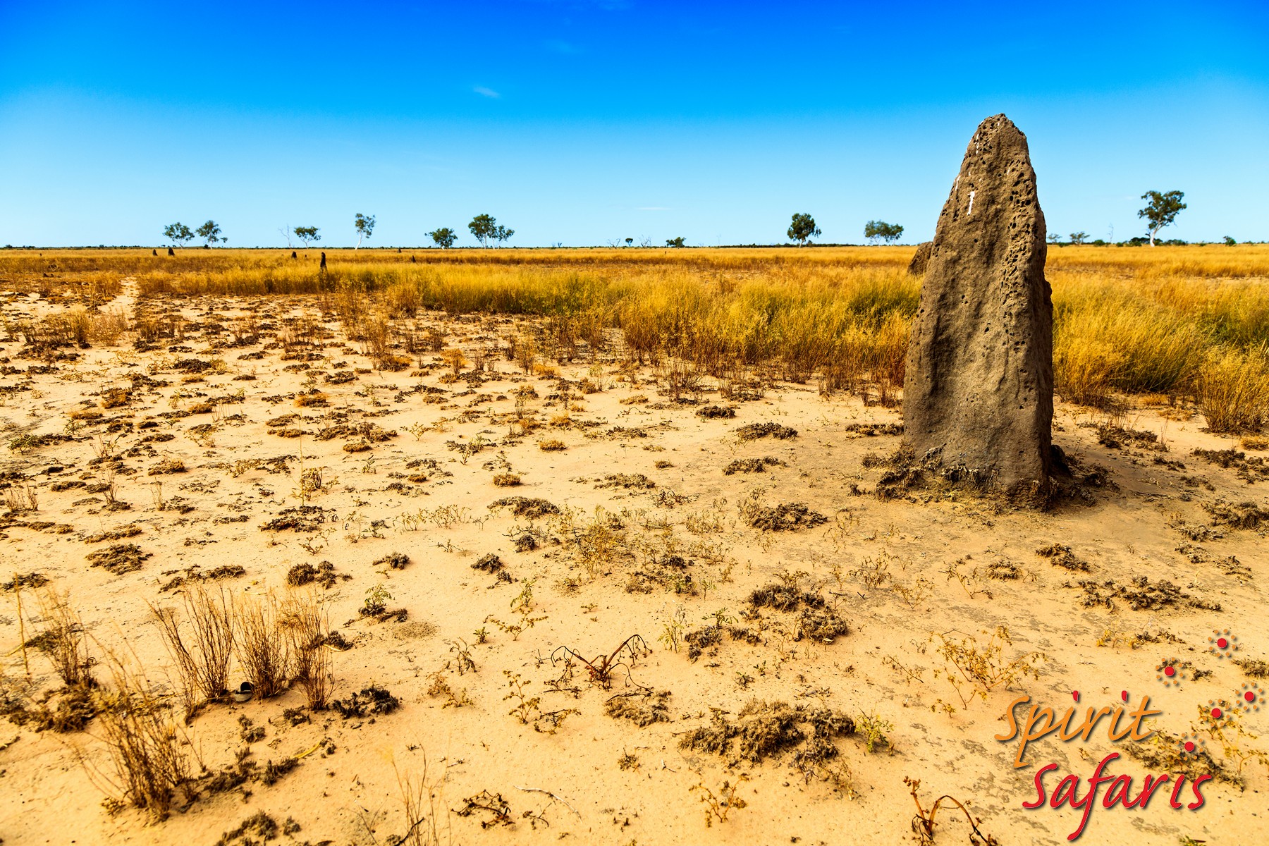Canning Stock Route Tour from Alice Springs to Alice Springs via Gunbarrel Highway & Tanami Track 18 days
