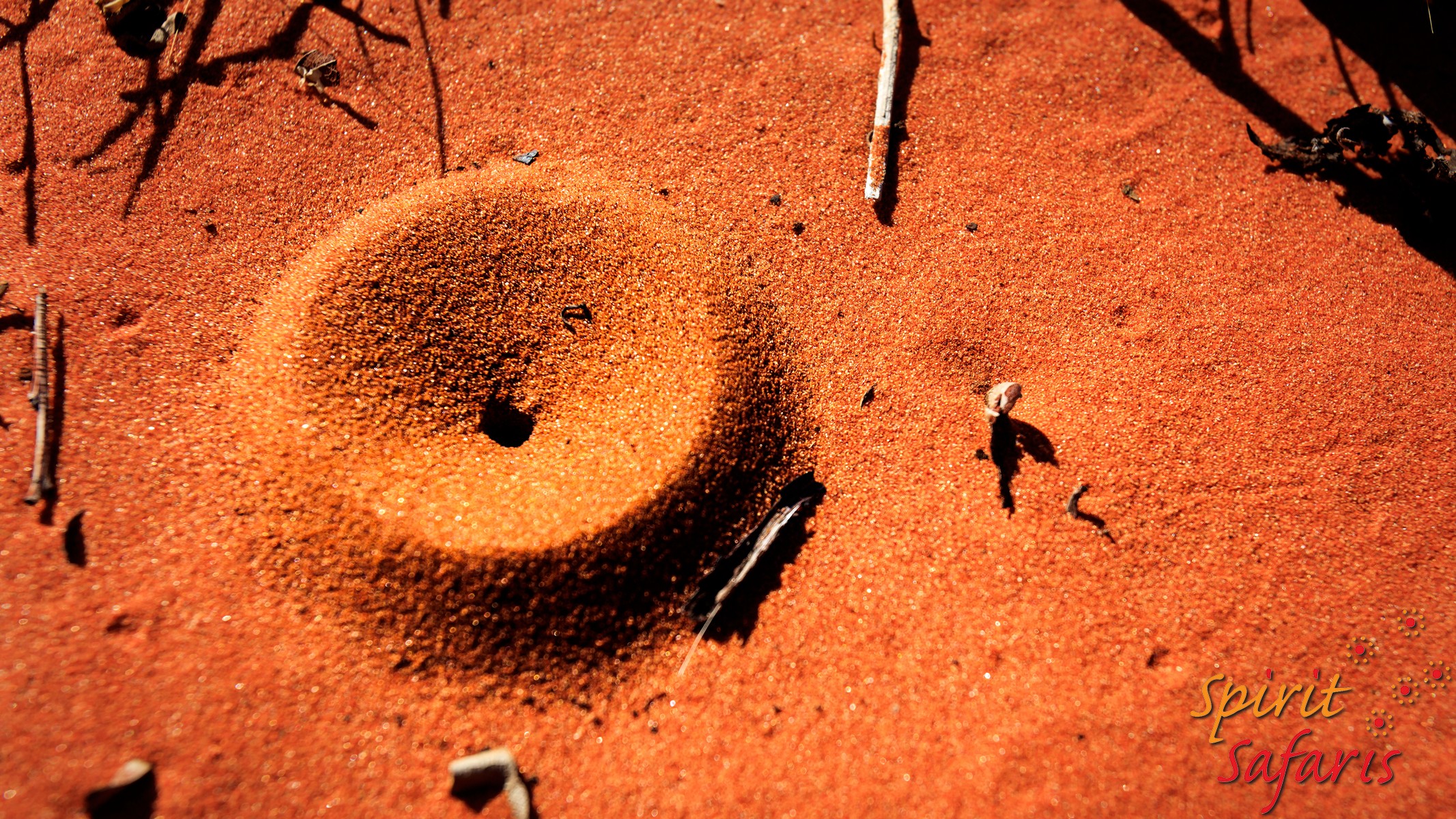 Canning Stock Route Tour from Alice Springs to Alice Springs via Gunbarrel Highway & Tanami Track 18 days