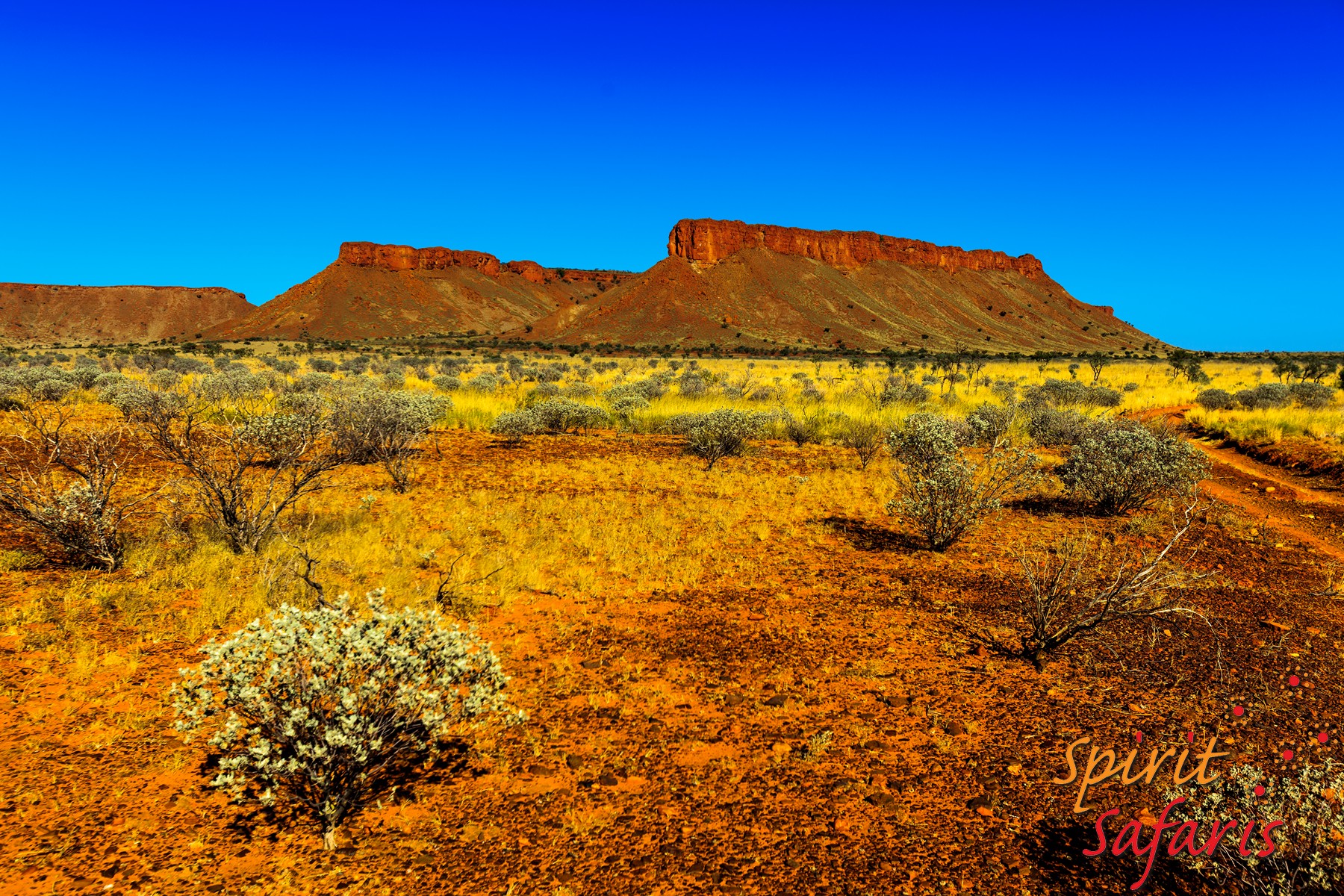 Canning Stock Route Tour from Alice Springs to Alice Springs via Gunbarrel Highway & Tanami Track 18 days