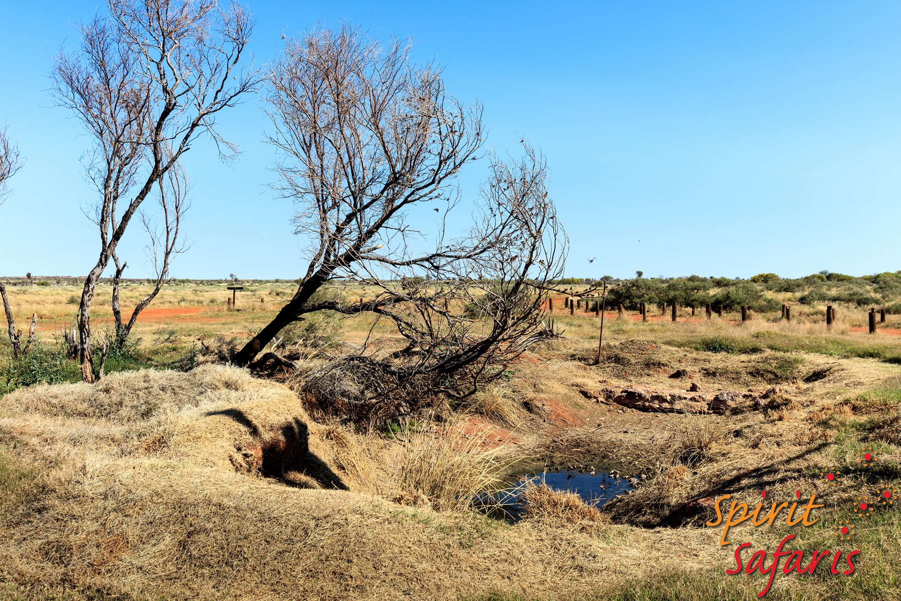 Canning Stock Route Tour from Alice Springs to Alice Springs via Gunbarrel Highway & Tanami Track 18 days