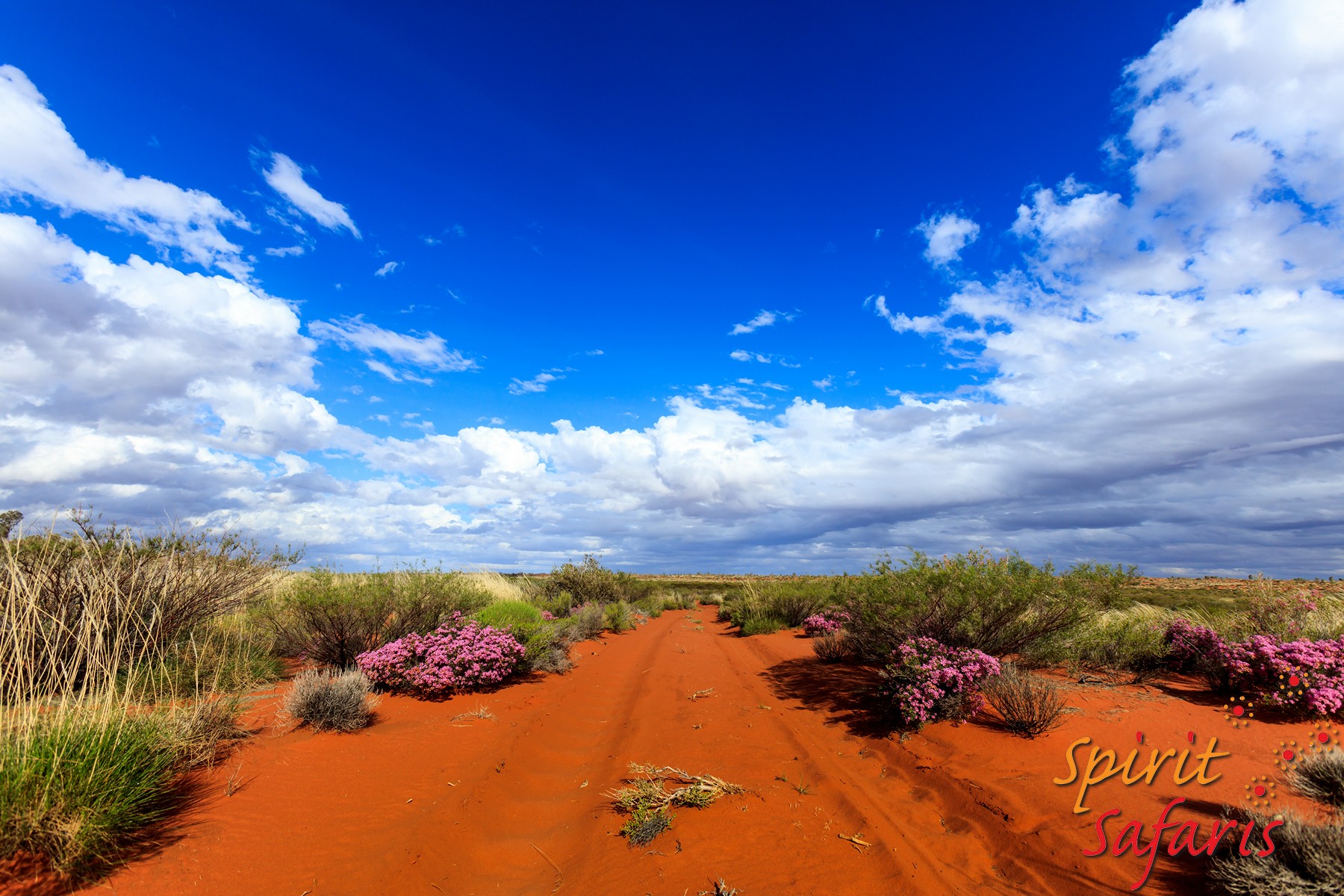 Canning Stock Route Tour from Alice Springs to Alice Springs via Gunbarrel Highway & Tanami Track 18 days