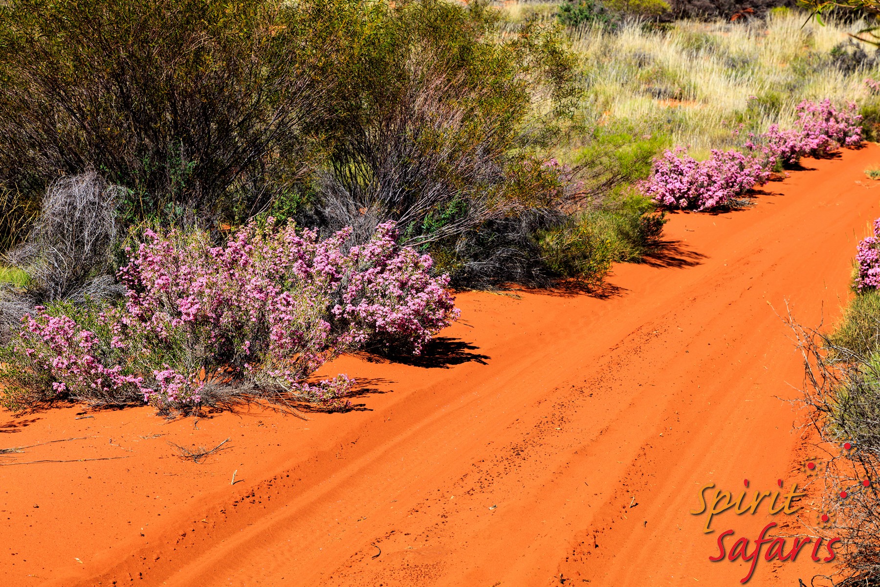Canning Stock Route Tour from Alice Springs to Alice Springs via Gunbarrel Highway & Tanami Track 18 days
