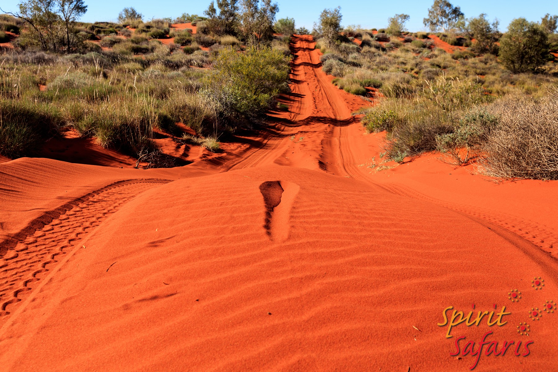 Canning Stock Route Tour from Alice Springs to Alice Springs via Gunbarrel Highway & Tanami Track 18 days