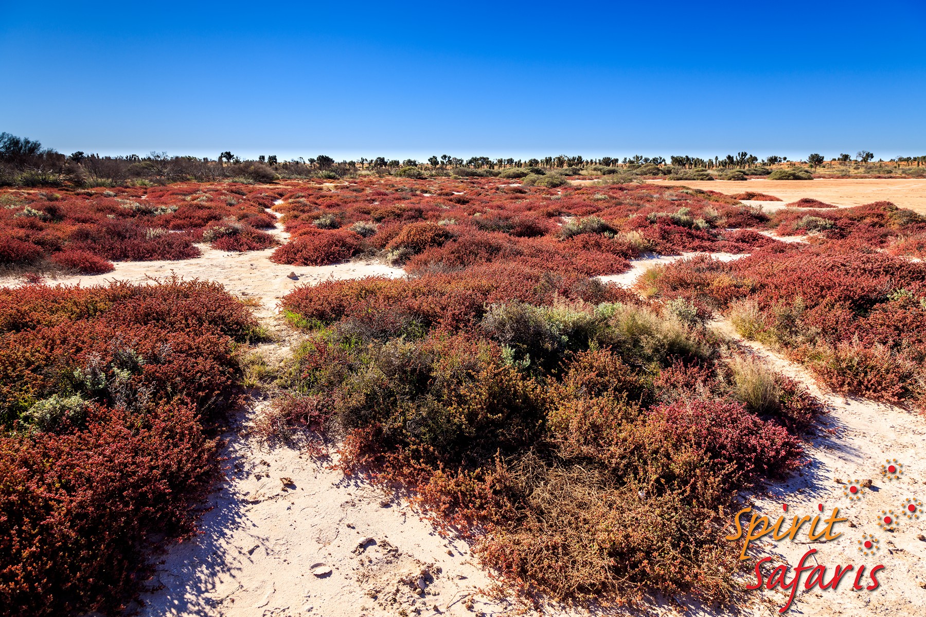 Canning Stock Route Tour from Alice Springs to Alice Springs via Gunbarrel Highway & Tanami Track 18 days