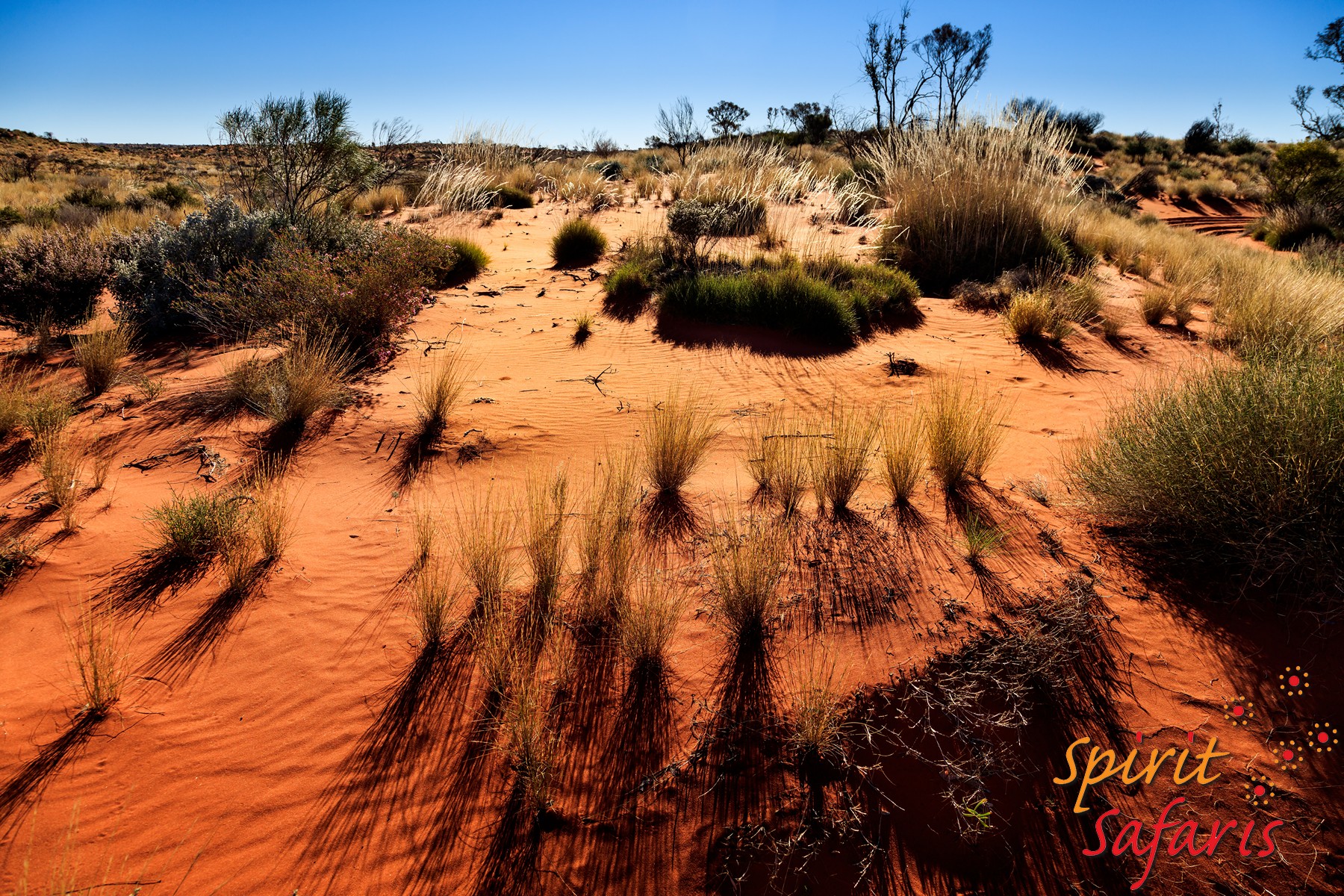 Canning Stock Route Tour from Alice Springs to Alice Springs via Gunbarrel Highway & Tanami Track 18 days