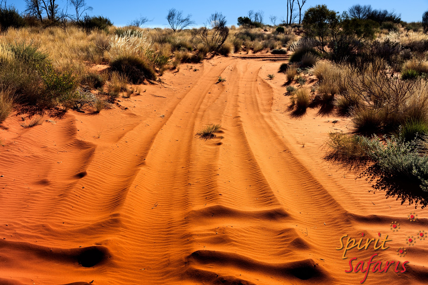 Canning Stock Route Tour from Alice Springs to Alice Springs via Gunbarrel Highway & Tanami Track 18 days