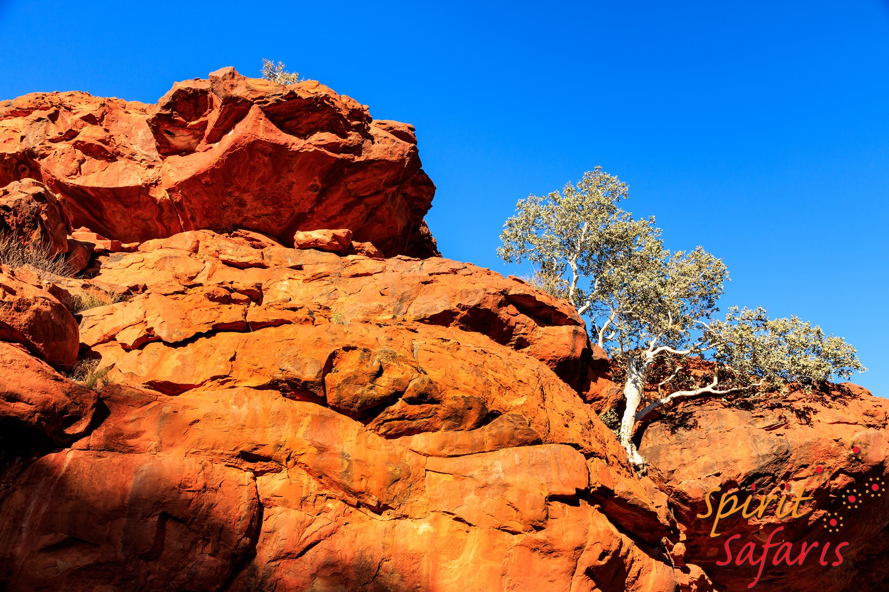 Canning Stock Route Tour from Alice Springs to Alice Springs via Gunbarrel Highway & Tanami Track 18 days