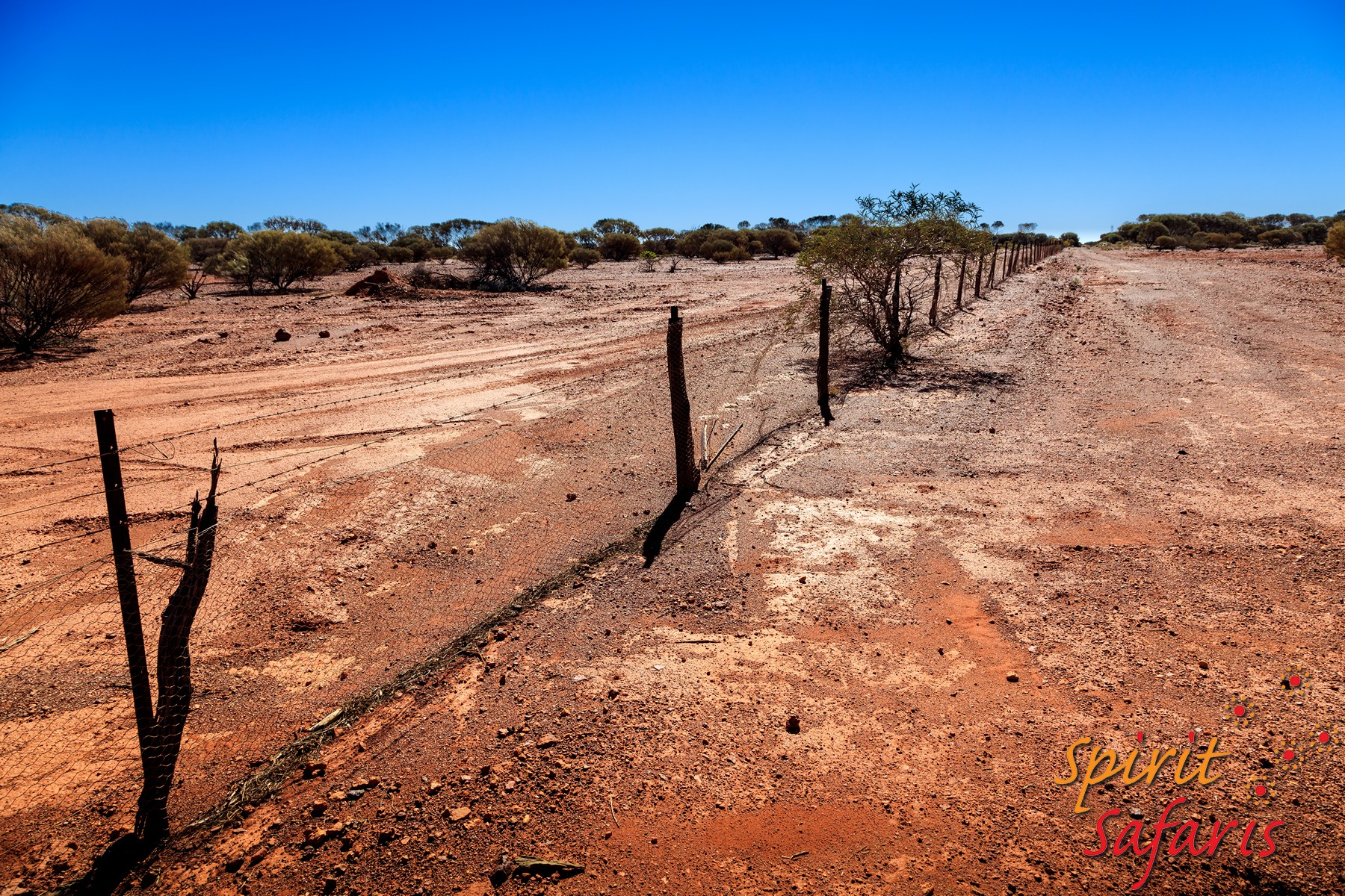 Canning Stock Route Tour from Alice Springs to Alice Springs via Gunbarrel Highway & Tanami Track 18 days