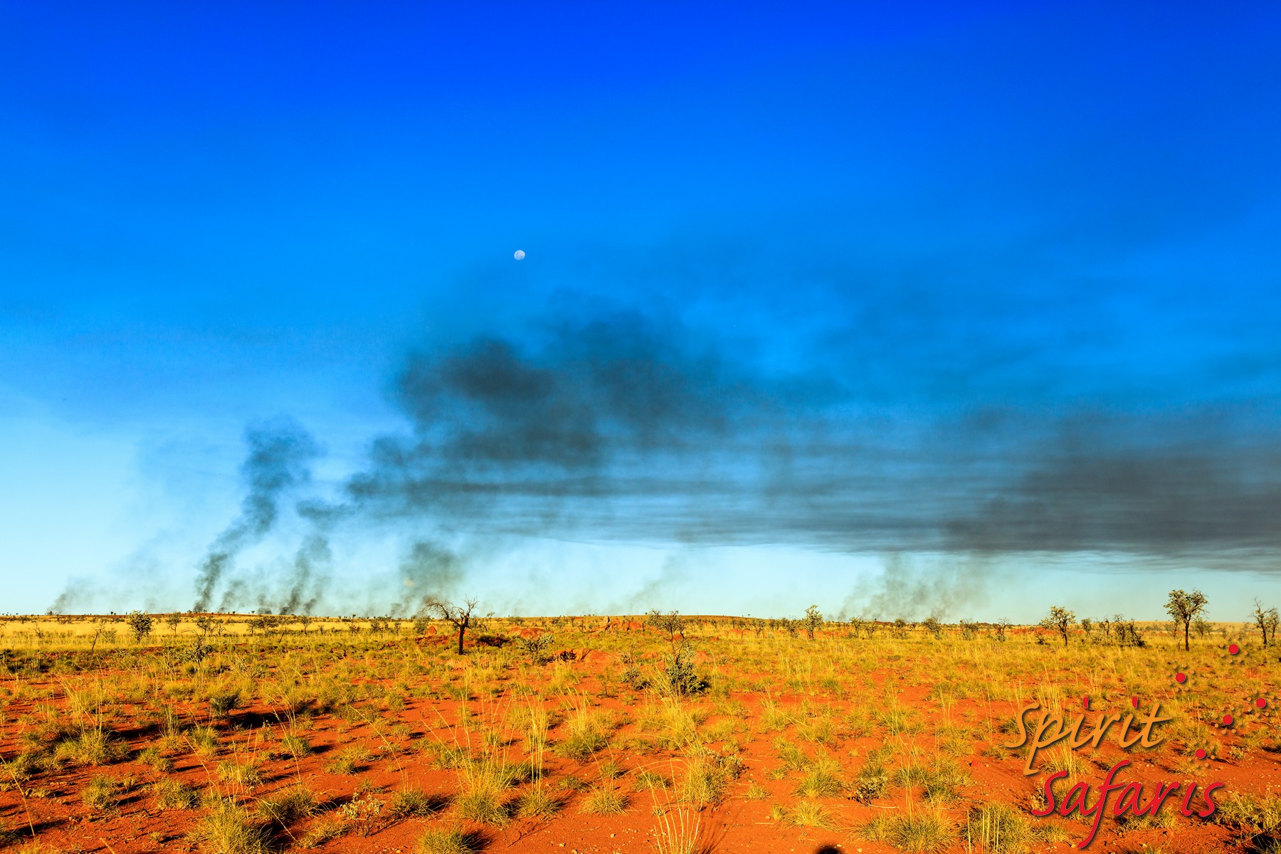 Canning Stock Route Tour from Alice Springs to Alice Springs via Gunbarrel Highway & Tanami Track 18 days