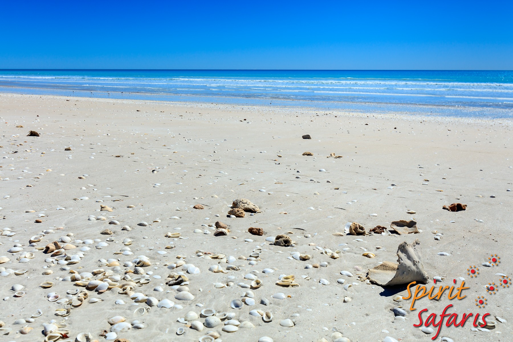 Canning Stock Route Tour from Alice Springs to Alice Springs via Gunbarrel Highway & Tanami Track 18 days