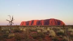 Uluru to Alice Springs via MacDonnell Ranges Kings Canyon Palm Valley Tours 5 Days