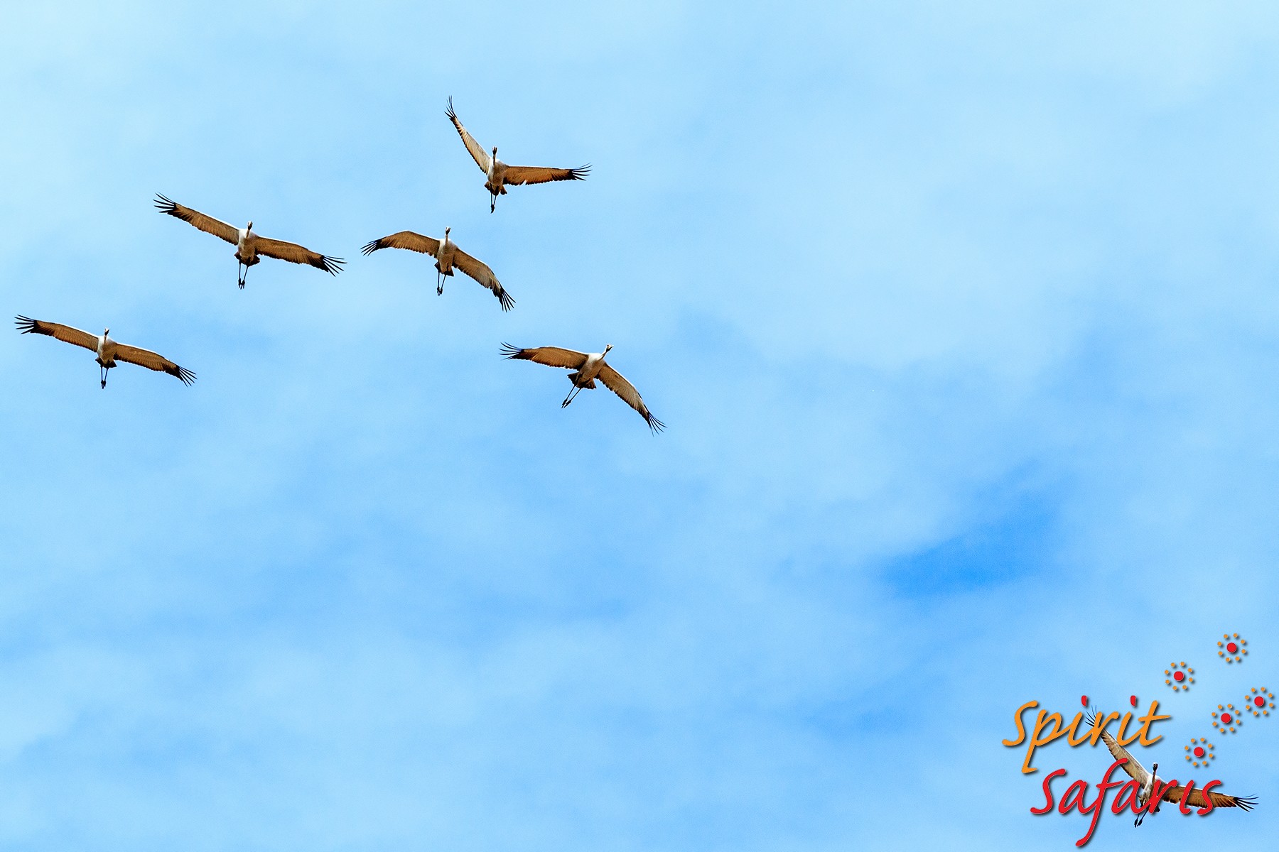 Canning Stock Route Tour from Alice Springs to Alice Springs via Gunbarrel Highway & Tanami Track 18 days