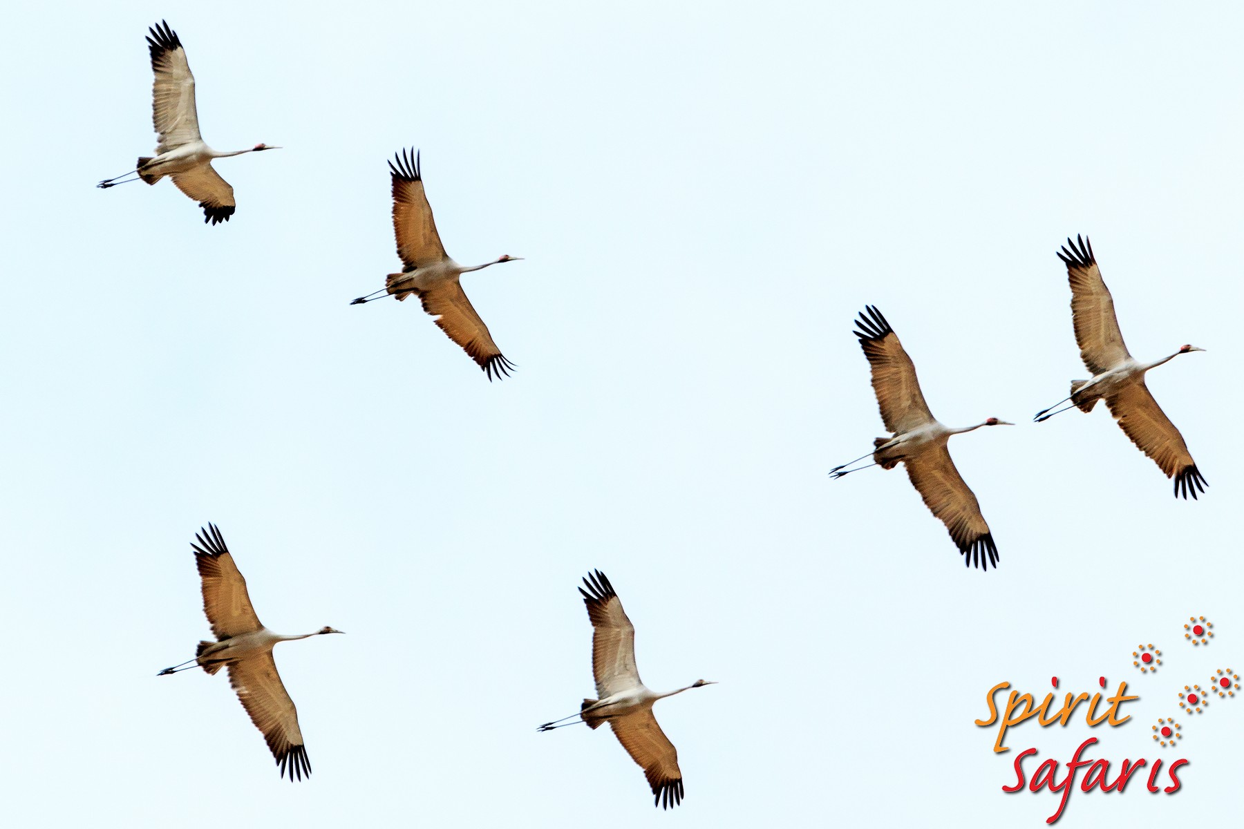 Canning Stock Route Tour from Alice Springs to Alice Springs via Gunbarrel Highway & Tanami Track 18 days
