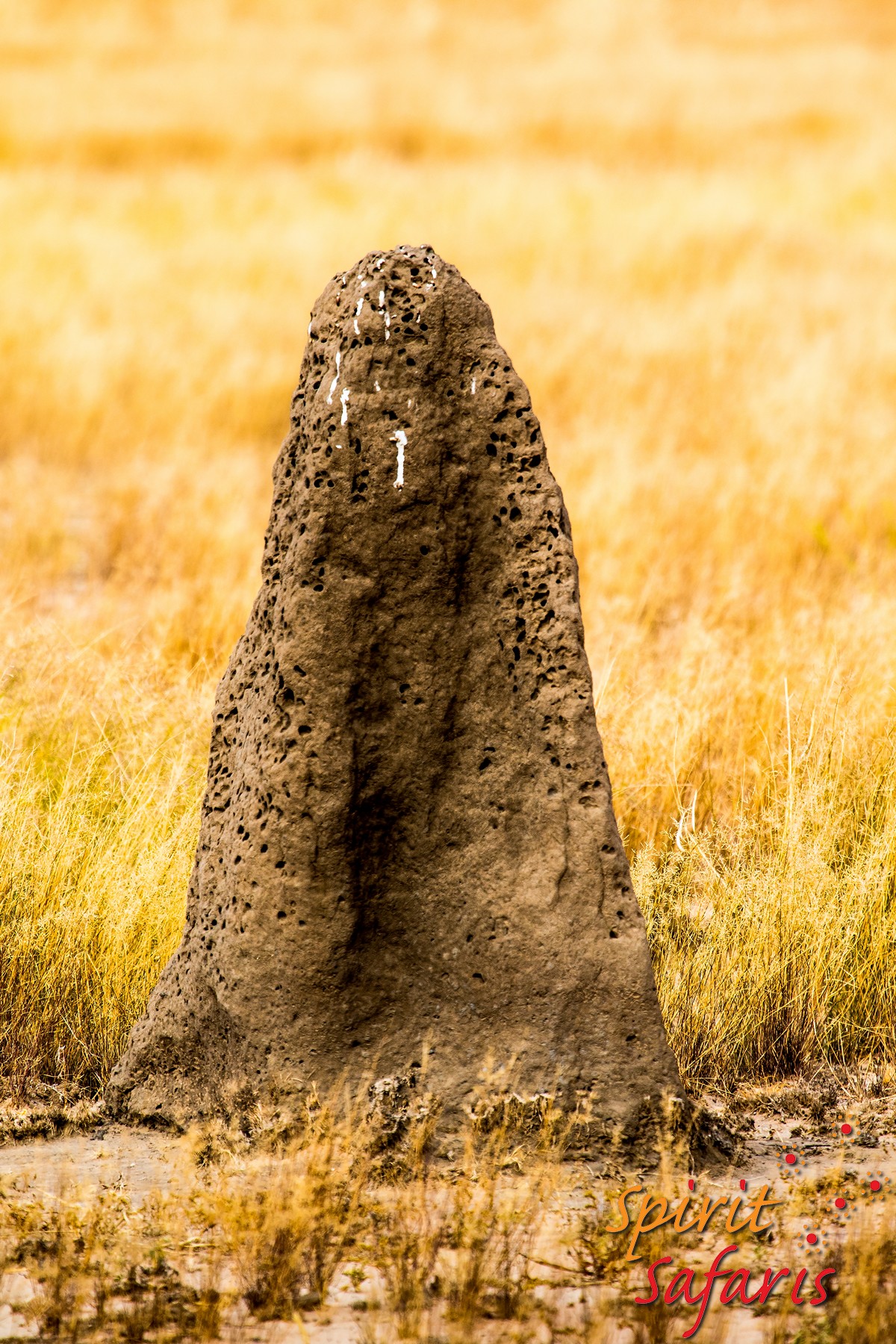 Canning Stock Route Tour from Alice Springs to Alice Springs via Gunbarrel Highway & Tanami Track 18 days