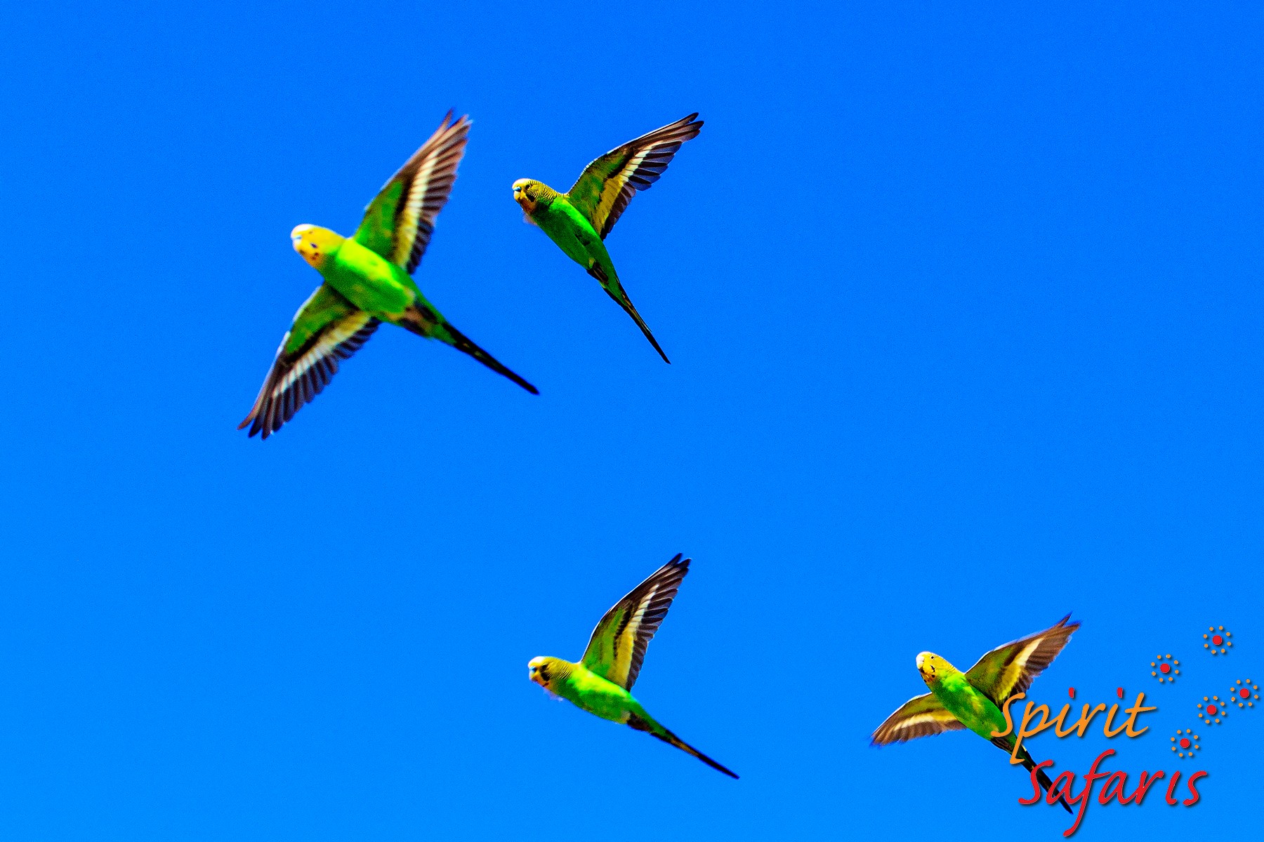 Canning Stock Route Tour from Alice Springs to Alice Springs via Gunbarrel Highway & Tanami Track 18 days