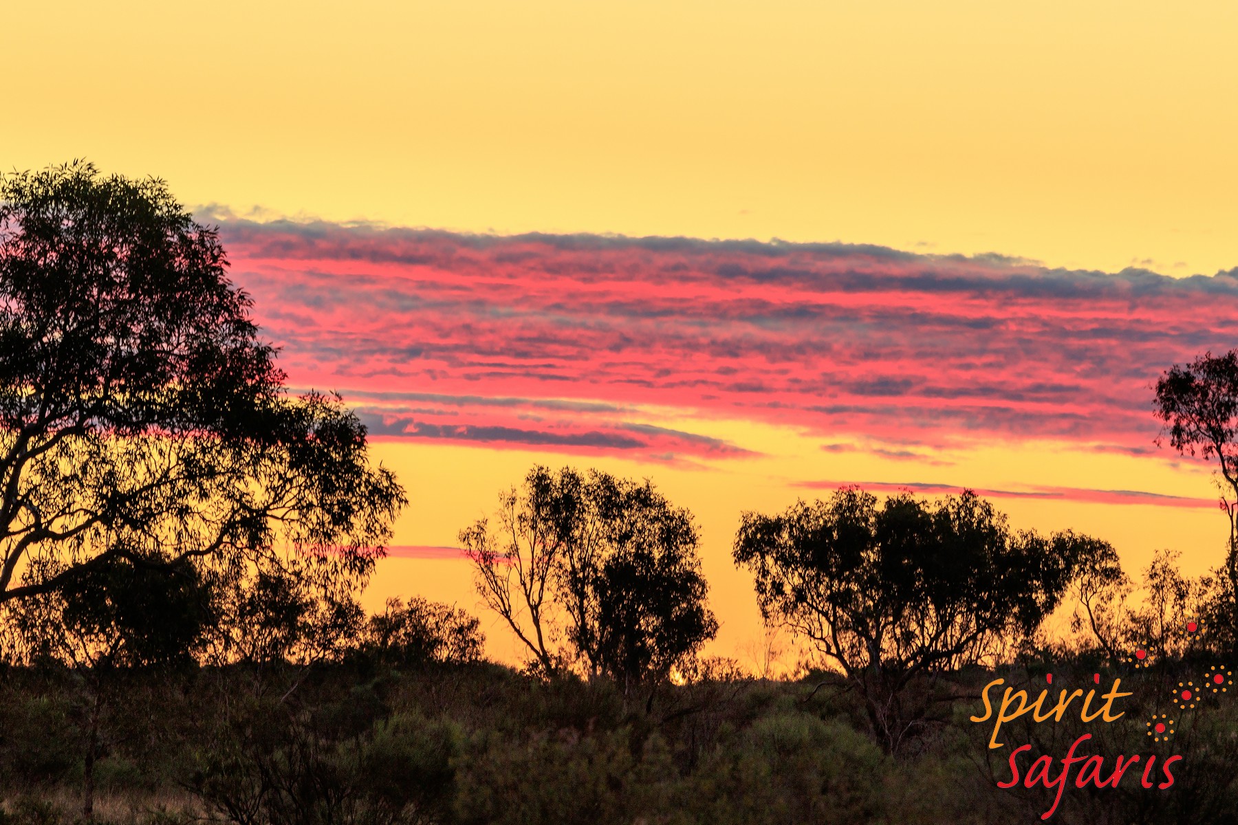 Canning Stock Route Tour from Alice Springs to Alice Springs via Gunbarrel Highway & Tanami Track 18 days