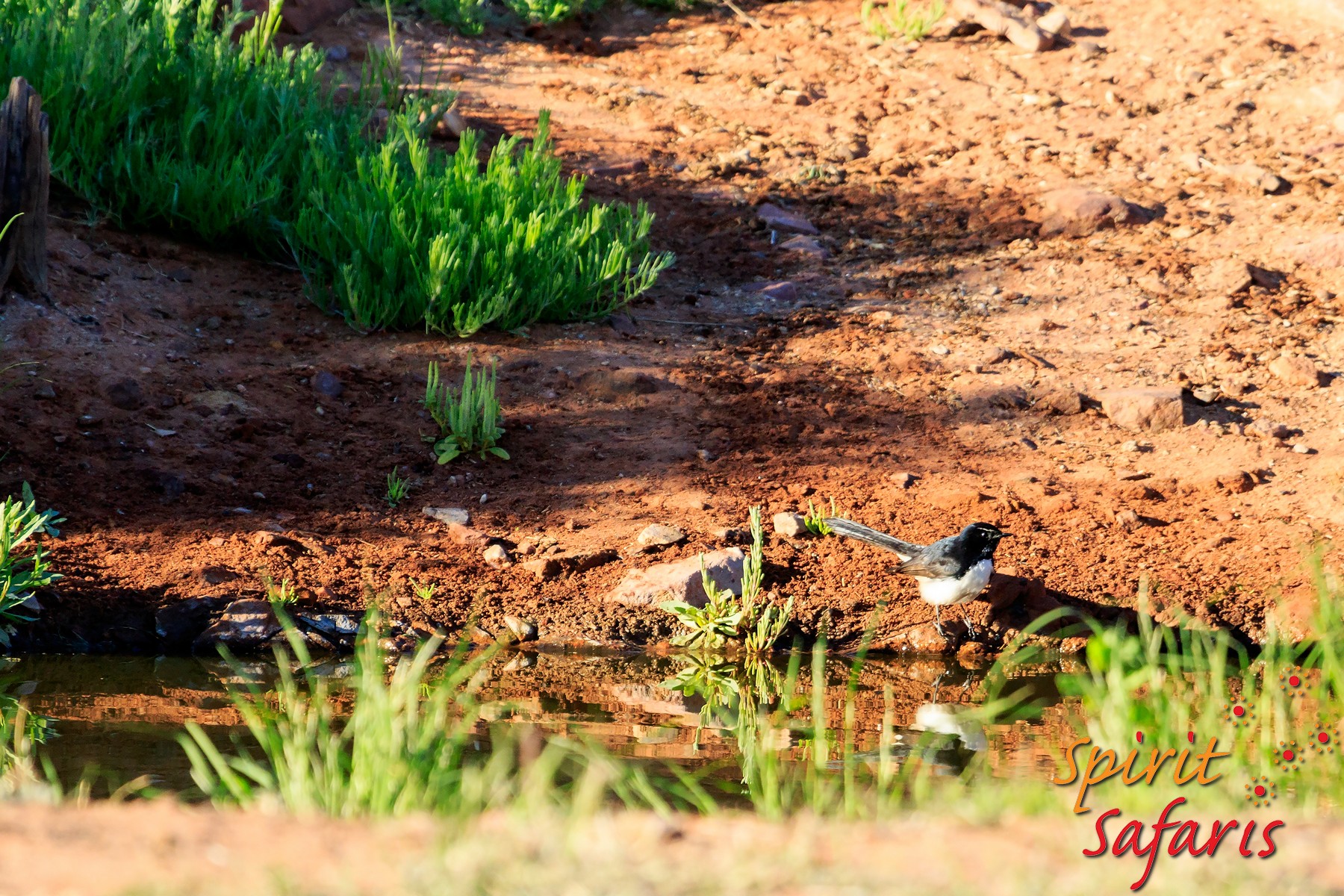 Canning Stock Route Tour from Alice Springs to Alice Springs via Gunbarrel Highway & Tanami Track 18 days